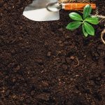 Progettazione e realizzazione giardini